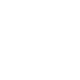 bizmo