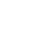 tse